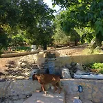 Rustic With Mountain Views And Pool וילה