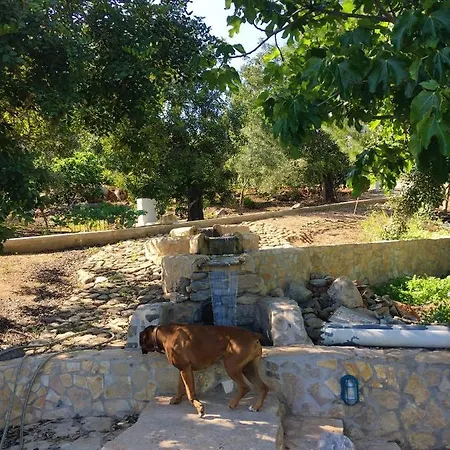 Rustic With Mountain Views And Pool Vila