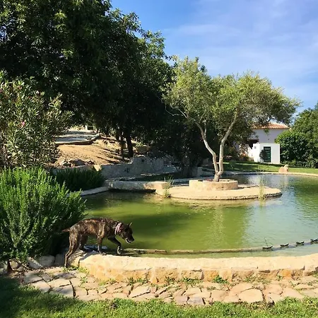 Villa Rustic With Mountain Views And Pool *