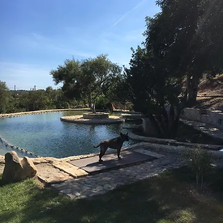 Villa Rustic With Mountain Views And Pool *