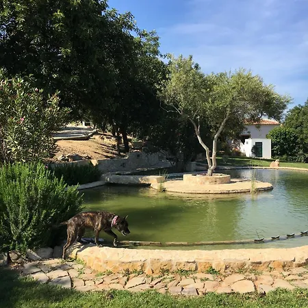 Rustic With Mountain Views And Pool Tavira