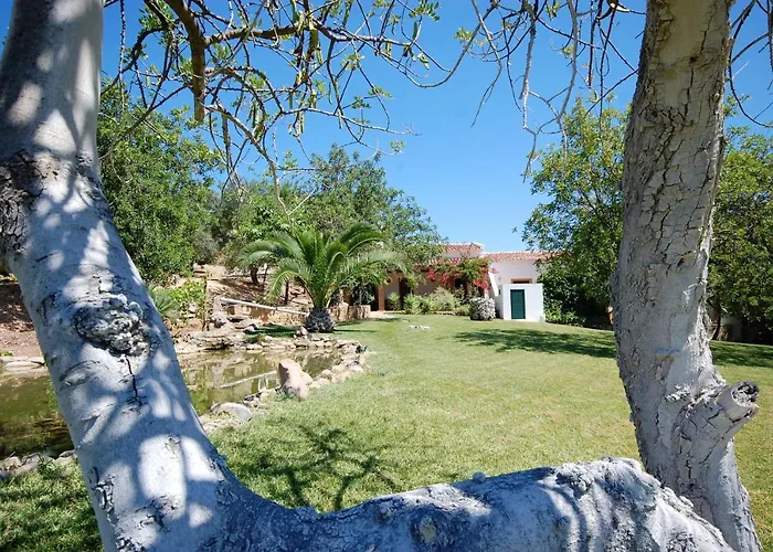 Rustic With Mountain Views And Pool * 타비라