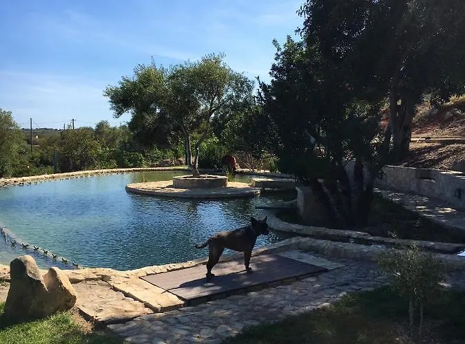 Rustic With Mountain Views And Pool 빌라