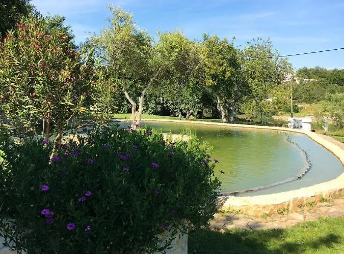 Rustic With Mountain Views And Pool 빌라 *