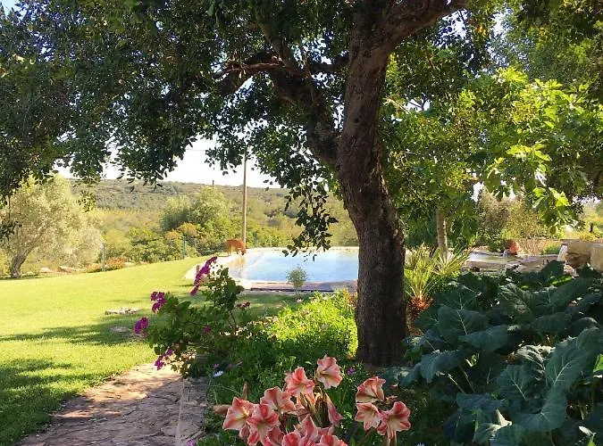 Rustic With Mountain Views And Pool * 타비라