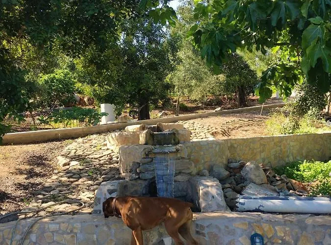Rustic With Mountain Views And Pool 빌라