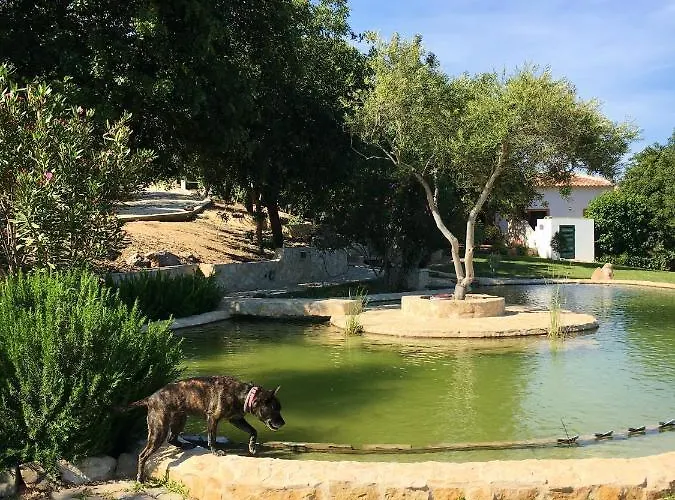 빌라 Rustic With Mountain Views And Pool *